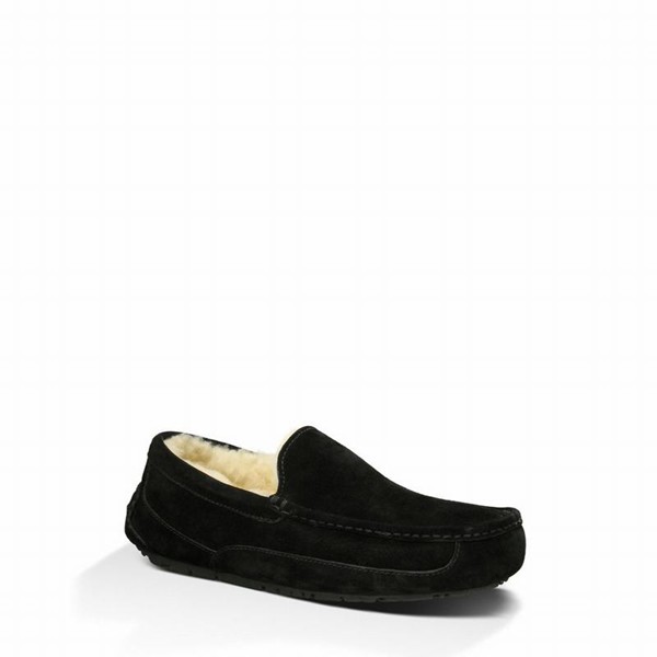 Black UGG Ascot Slippers For Men | UK 00724